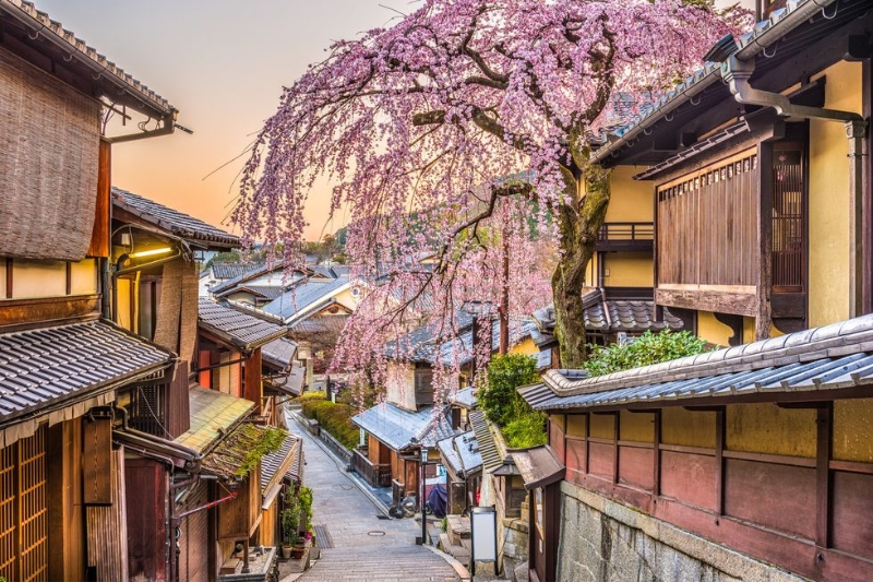 Ideal time to visit Japan